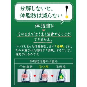 送料無料 サントリー 伊右衛門 特茶s (特定...の詳細画像3