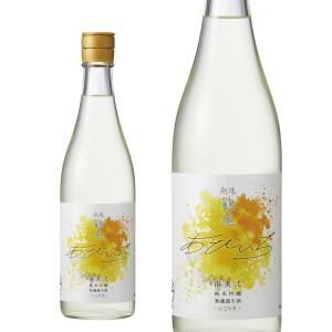 クール便 越後鶴亀 あびいち(浴美弌)純米吟醸 無濾過 生酒 720ml 1本 限定 限定酒