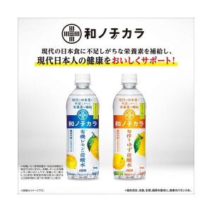 あすつく 送料無料 Dydo ダイドー 和ノチ...の詳細画像3