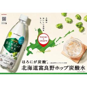 送料無料 ポッカサッポロ 北海道富良野ホップ炭...の詳細画像1