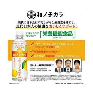 あすつく 送料無料 Dydo ダイドー 和ノチ...の詳細画像1