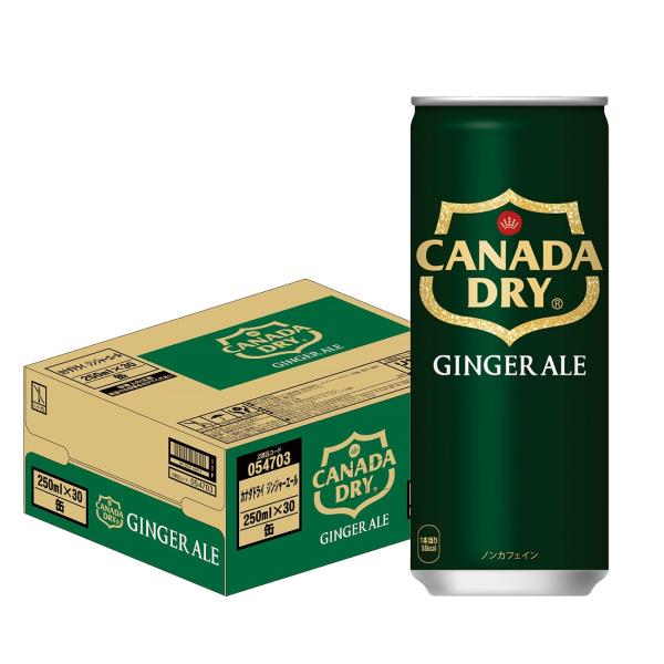 送料無料 コカ・コーラ カナダドライ ジンジャーエール 250ml×1ケース/30本