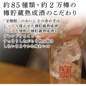 あすつく 送料無料 宝酒造 宝焼酎 25度 エ...の詳細画像4