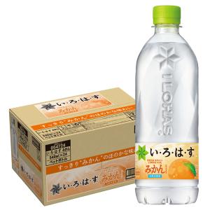 北海道 ごぼうスープ 12袋入×20箱 グリーンズ北見 全国送料無料 : ほ