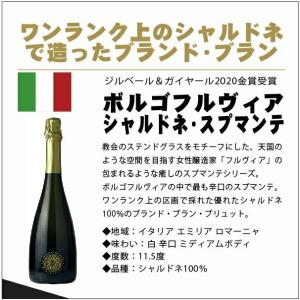 送料無料 圧倒的かつ圧巻のコスパ! スパークリ...の詳細画像3