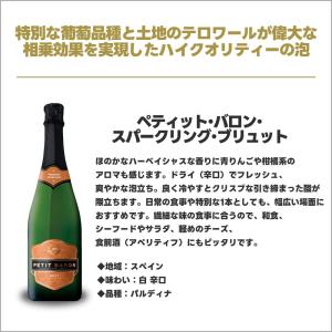 送料無料 圧倒的かつ圧巻のコスパ! スパークリ...の詳細画像5