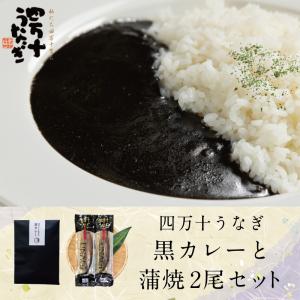 お中元 高知 ギフト 2026｜16-四万十うなぎ黒カレーと蒲焼２尾セット｜冷凍便 四万十うなぎ おみやげ 爆買