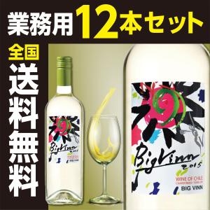 【チリワイン】ビッグ・バン ホワイト 750ml 業務用12本セット 全国送料無料 ポイント消費に ギフト発送、ラッピング不可｜liquorgto