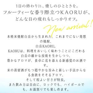 「10/11 +5% 日曜日」 白岳 KAOR...の詳細画像2