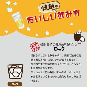 「9/6 +5% 日曜日」 あなたにひとめぼれ...の詳細画像2