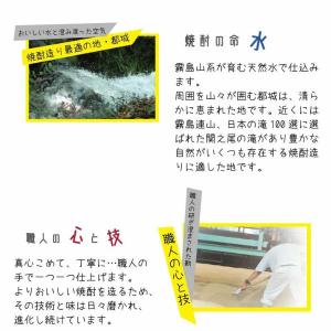 「9/6 +5% 日曜日」 あなたにひとめぼれ...の詳細画像5