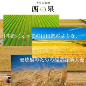 「10/11 +5% 日曜日」 西の星 焼酎 ...の詳細画像1