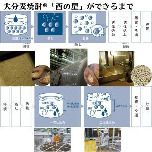 「10/11 +5% 日曜日」 西の星 焼酎 ...の詳細画像2