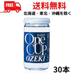 大関 上撰ワンカップ 1ケース 30本入 清酒 送料無料｜liquorisland