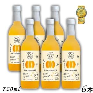 クラフトジン PACHI PACHI（パチパチ） 720ml 瓶 （みかんジン 近藤