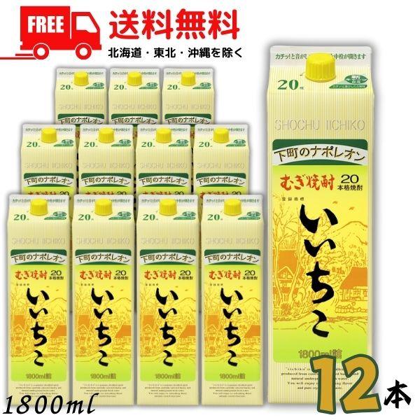 いいちこ 20度 1.8L パック 2ケース 12本 1800ml 麦焼酎 三和酒類 送料無料 LS...