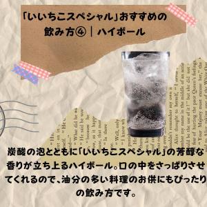 いいちこ 焼酎 いいちこ スペシャル 30度 ...の詳細画像5