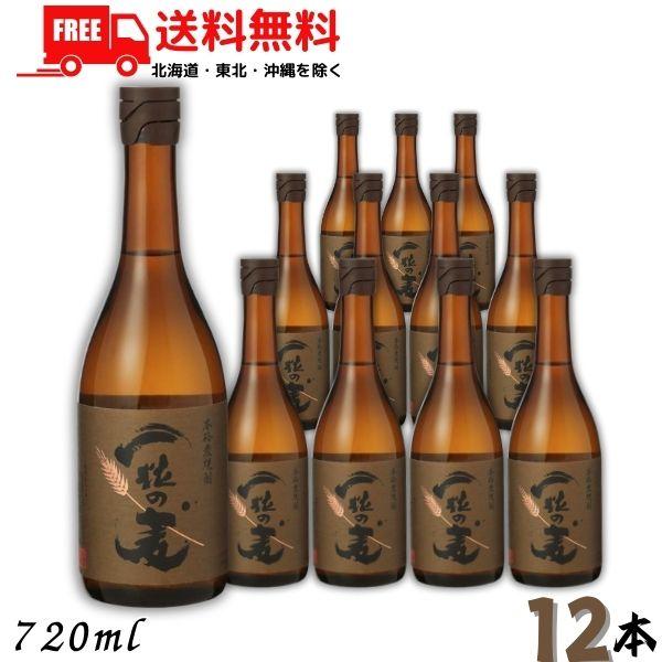 一粒の麦 25度 720ml 瓶1ケース 12本 麦焼酎 西酒造 送料無料　