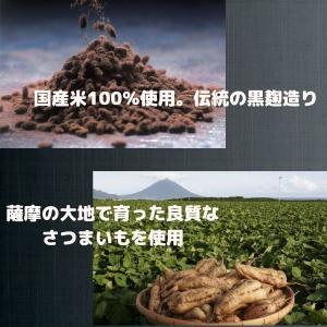 海童 焼酎 20度 1.8L パック 2ケース...の詳細画像2