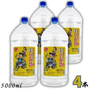 あなたにひとめぼれ 25度 麦 5L  5000ml ペット 1ケース（4本入り）
