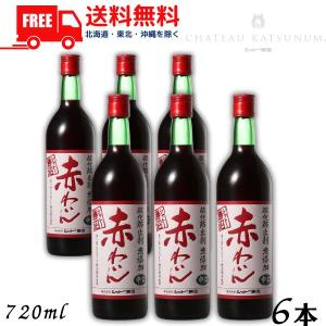 サルド ジンファンデル 2023 赤ワイン 正規品 : World Wine FLORA