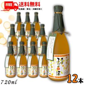 クラフトジン PACHI PACHI（パチパチ） 720ml 瓶 （みかんジン 近藤