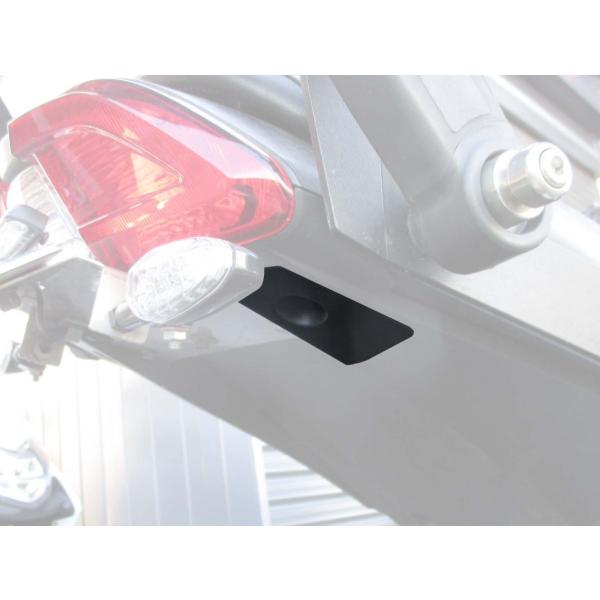 US仕様パネル  Can-Am SPYDER F3-S　F3-STD用　　左右セット