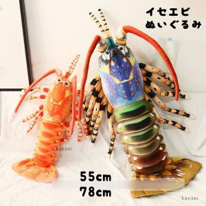 イセエビ 伊勢海老 魚模型 魚フィギュア faf-c8 寸法：約28x20x5cm