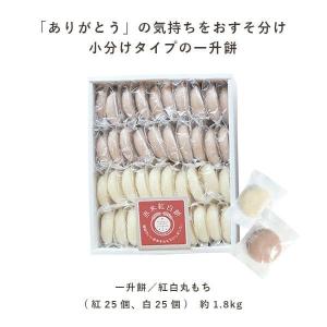 出産祝い 誕生日 名入れ 名入れベビーリュック...の詳細画像5