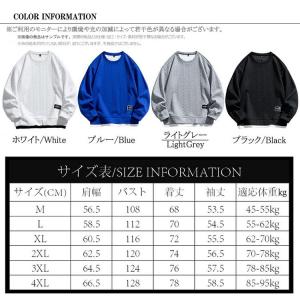 トレーナー メンズ 春服 春物 トップス クル...の詳細画像1