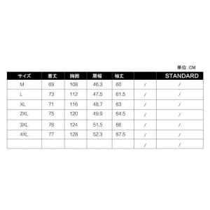 メンズ ジャケット マウンテンパーカー ウイン...の詳細画像1