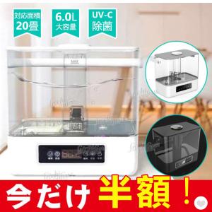「期間限定50％OFF」6L大容量加湿器 ハイブリッド加湿器 超音波 空気浄化機 次亜塩素酸水対応 銀イオン 乾燥防止 空焚き防止 リモコン付き 超静音