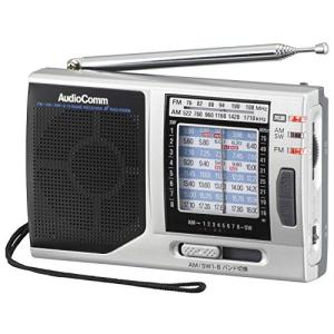 オーム電機AudioComm ポータブルたんぱラジオRAD-H320N 03-1274