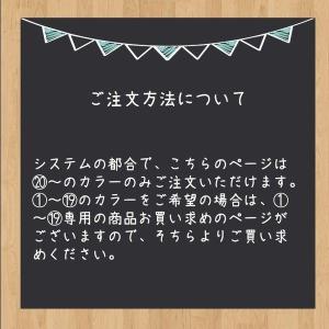 【 カラーNo.20〜購入ページ】キラキラNE...の詳細画像4