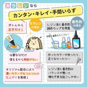 そのまま使える カラーレジン 30g 1本 【...の詳細画像2