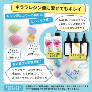そのまま使える カラーレジン 30g 1本 【...の詳細画像3