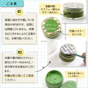 【16色】 ぷにるん 専用着色剤 カラークリー...の詳細画像4