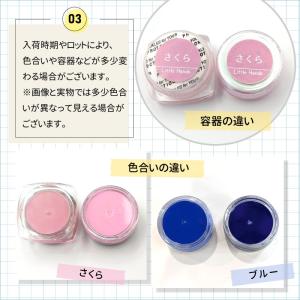 【16色】 ぷにるん 専用着色剤 カラークリー...の詳細画像5