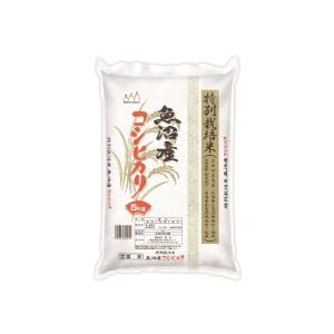 特別栽培米 魚沼産コシヒカリ 5kg　ギフト　熨斗　御祝｜little-house