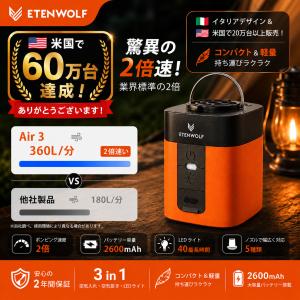 8月16日まで最大20%OFF 電動ポンプ エ...の詳細画像4