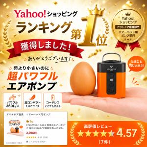 8月16日まで最大20%OFF 電動ポンプ エ...の詳細画像2