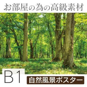 インテリア ポスター　春の森 B1｜little-oasis-room