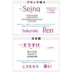 名前ステッカー 名前シール バルーン用 風船 ...の詳細画像5