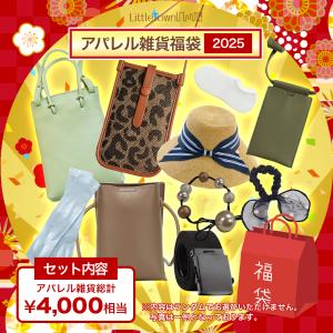 【約75%OFF相当!】レディース 福袋 アパレル 雑貨 2025 1000円ポッキリ アウトレット サンプル品 雑貨 小物 お買い得 お得な商品 ラッキーバック ハッピーバック