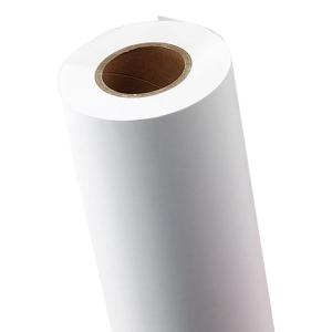 直送〕A1ロール プロッターロール紙 普通紙〔64g/m2・594mm×70m〕2本