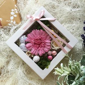 プリザーブドフラワー ガーベラ 壁掛け フレーム プレゼント ピンク ミニフレーム ギフト Lpm0060 リトルエンジェル 花ギフト プリザーブドフラワー通販