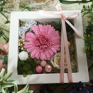 プリザーブドフラワー ガーベラ 壁掛け フレーム プレゼント ピンク ミニフレーム ギフト Lpm0060 リトルエンジェル 花ギフト プリザーブドフラワー通販
