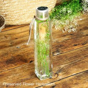 グリーンハーバリウム かすみ草 リトルエンジェル 花ギフト プリザーブドフラワー通販