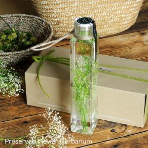 グリーンハーバリウム かすみ草 リトルエンジェル 花ギフト プリザーブドフラワー通販