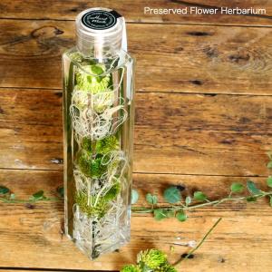 グリーンハーバリウム ボタニカル 千日紅 リトルエンジェル 花ギフト プリザーブドフラワー通販